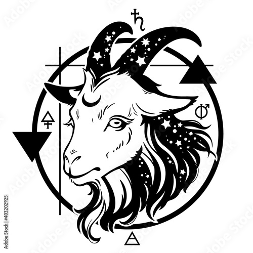 head of a mystical animal with magic signs