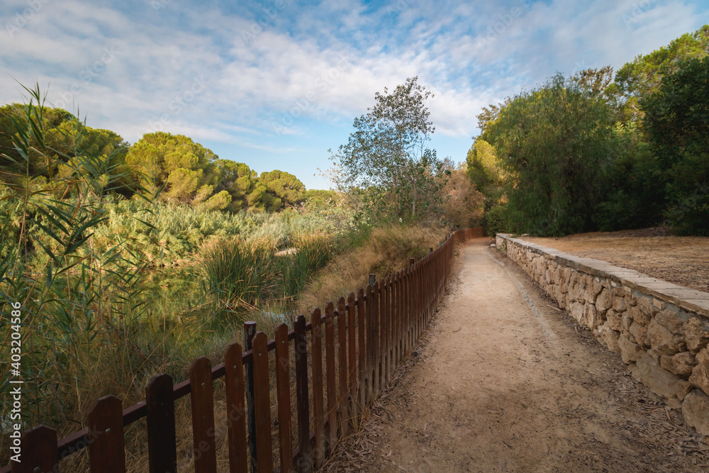 path in the park