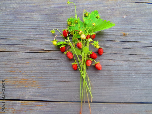 bouquet of wild strawberries