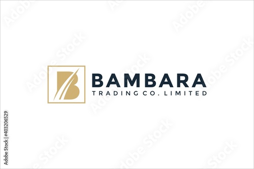 b business logo design initials