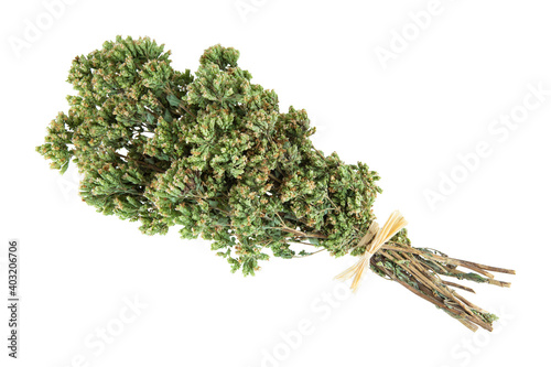 Dried oregano bouquet isolated on white background.