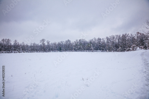 winter landscape with snow © paolagio_photo