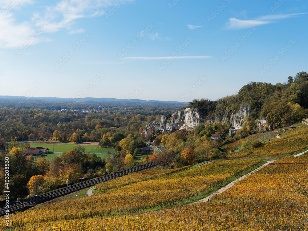 Istein Weinberge. Herbstlandschaft. Weinreben am Fuße von Kalksteinfelsen und Isteiner Klotz