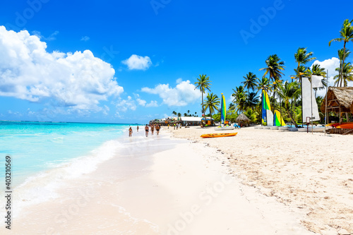Fototapeta Naklejka Na Ścianę i Meble -  Coconut Palm trees on white sandy beach in Punta Cana, Dominican Republic.