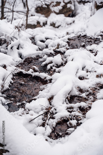 Stream running through snow and ice in wooded area.