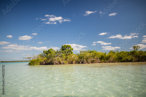 Trees on an island with a clear blue sky as background