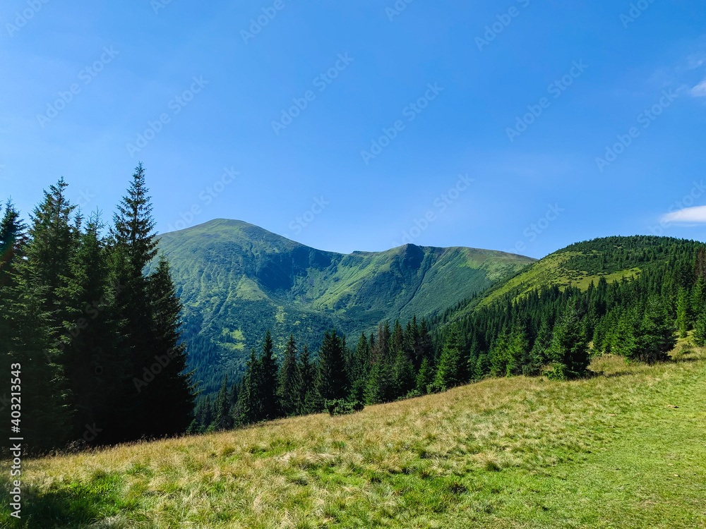 landscape in the mountains