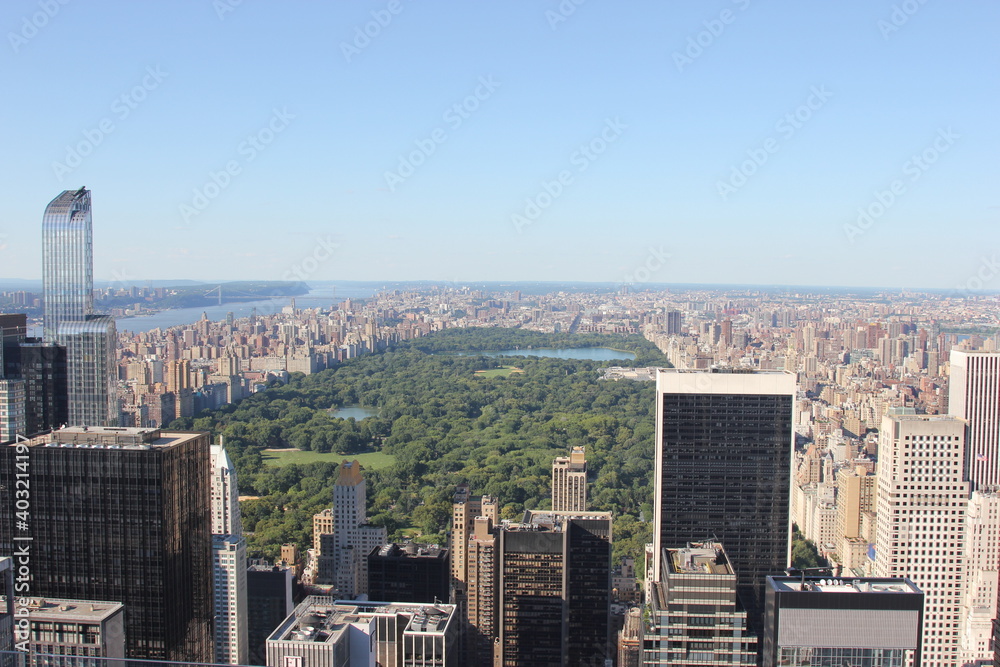 Fototapeta premium Central Park