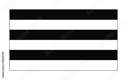 Vector illustration of flat Straight heterosexual pride flag on white background: black and white horizontal equal lines. Straight heterosexual community symbol.