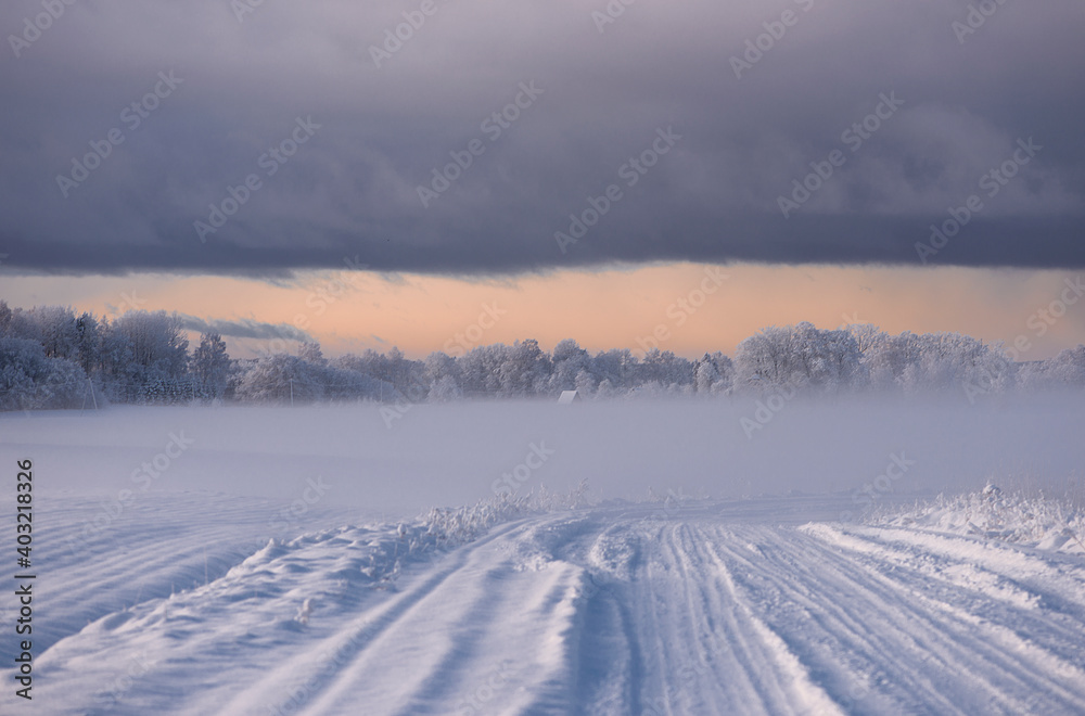 winter landscape of snowy road near the woods covered with snow and hoarfrost on a cloudy day winter landscape of snowy road near the woods covered with snow and hoarfrost on a cloudy day