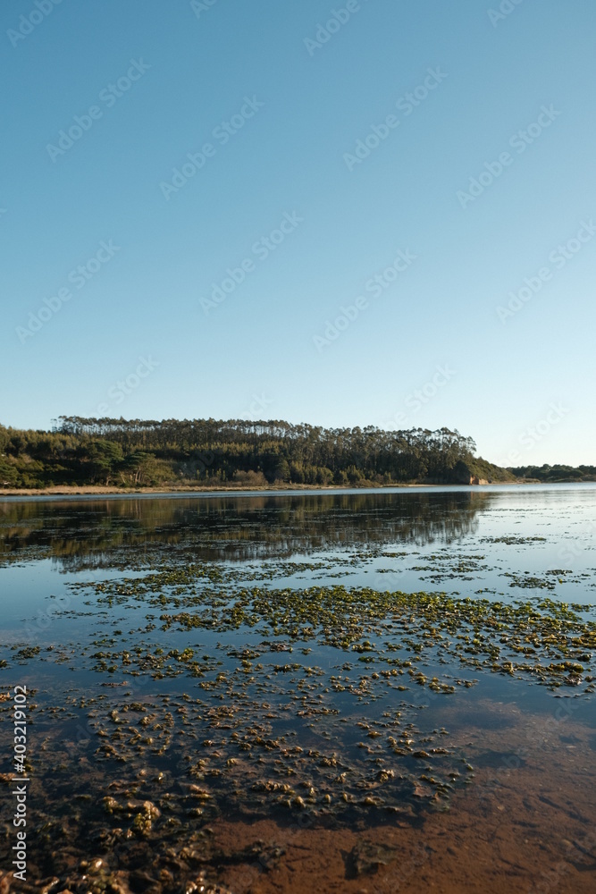 obidos lagoon green reflection