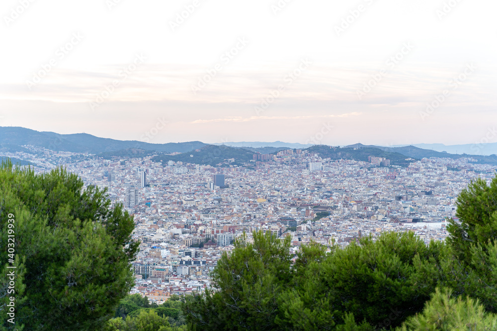 Aerial view to Barcelona from a green coniferous park on a sunny summer day