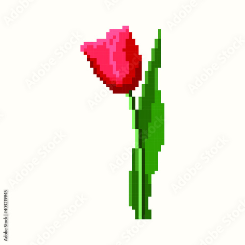 Tulip in pixel art vector illustration