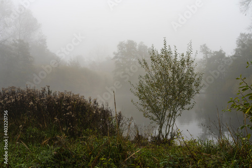 Nature Outdoor autumn foggy dust