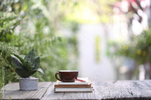 Brown coffee cup and notebooks with pencil and snake plant on wooden desk outdoor