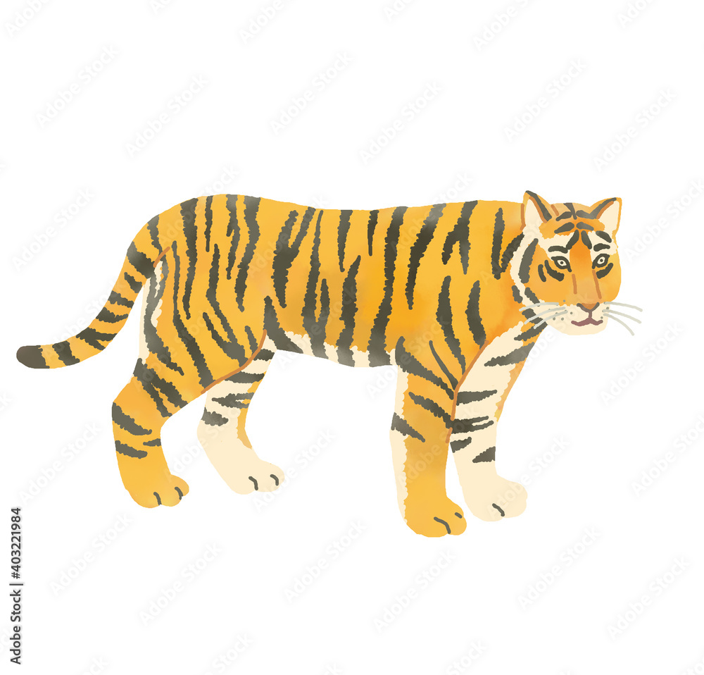 イラスト素材 年賀状 リアルでオシャレな虎のイラストのカット Catalogo