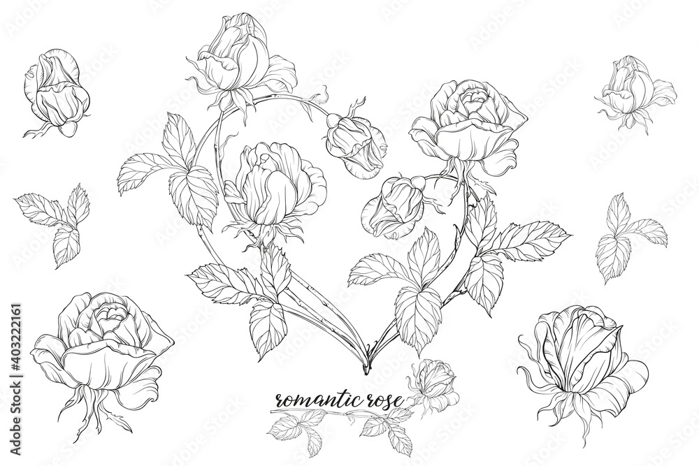 Vector set of flower compositions with rose flowers.Heart of flowers. Vector set of flower compositions with rose flowers.Heart of flowers.
