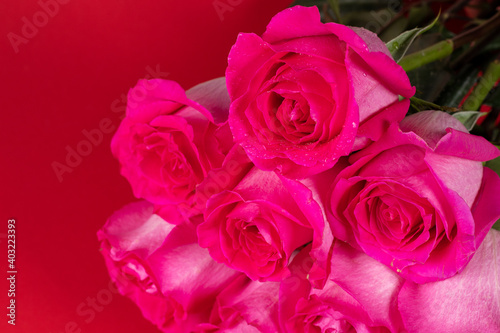 Bouquet made of pink roses. Valentines Bouquet of pink roses on red background