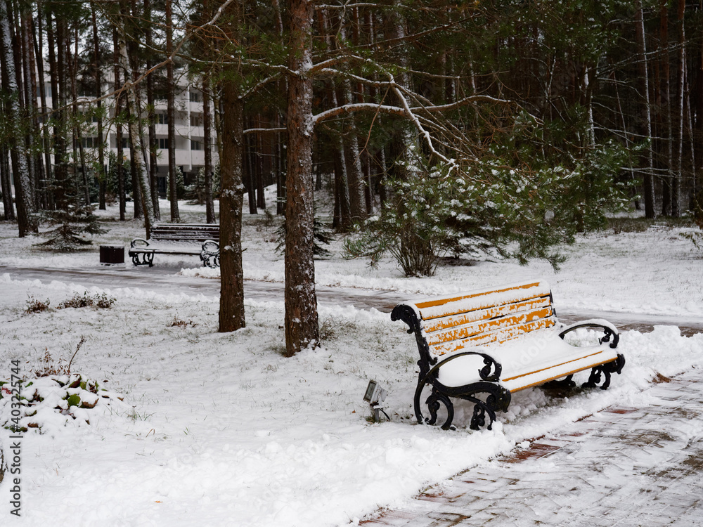lonely snow-covered bench in a winter park lonely snow-covered bench in a winter park