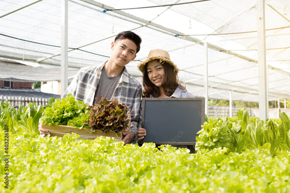 Hydroponics, a smiling young Asian farmer holding a vegetable basket and blackboard, stands on a farm growing commercial organic vegetables. Organic farming business concept Hydroponics, a smiling young Asian farmer holding a vegetable basket and blackboard, stands on a farm growing commercial organic vegetables. Organic farming business concept