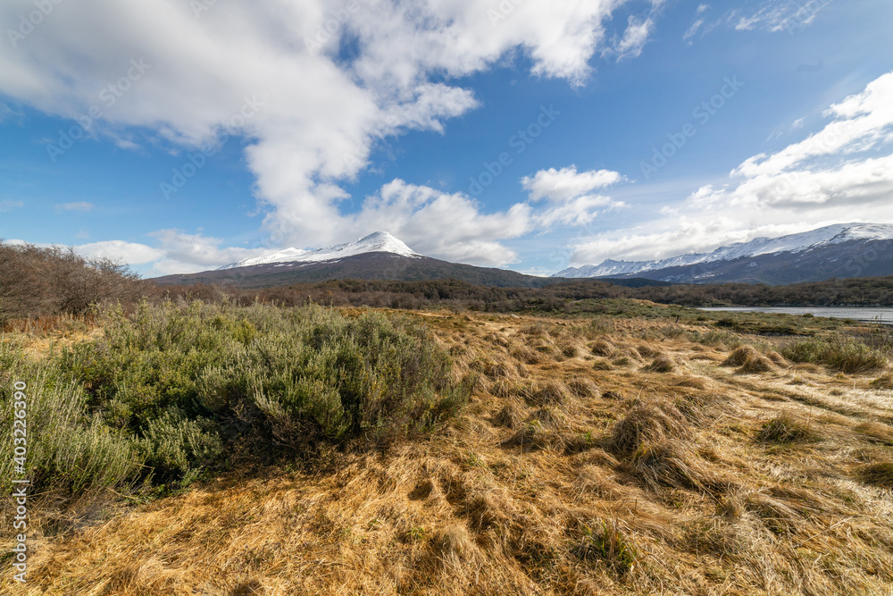Desolate mountains landscape with sunlight and bushes Desolate mountains landscape with sunlight and bushes