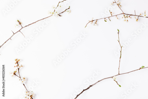 Springtime background with cherry blossom twigs on white desktop, top view, frame, flat lay