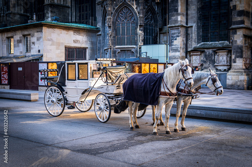 Two white horses harnessed to a carriage near St Stephen's Cathedral, Stephansplatz. Traditional touristic transport attraction in Vienna. Golden our colors. photo