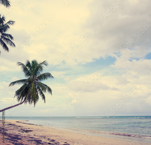 Caribbean sea and green palm trees on white tropical beach.