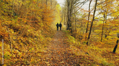 Person walking in the autumn forest