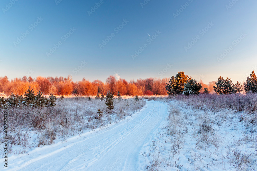 road in a snowy field on a frosty winter morning at dawn road in a snowy field on a frosty winter morning at dawn