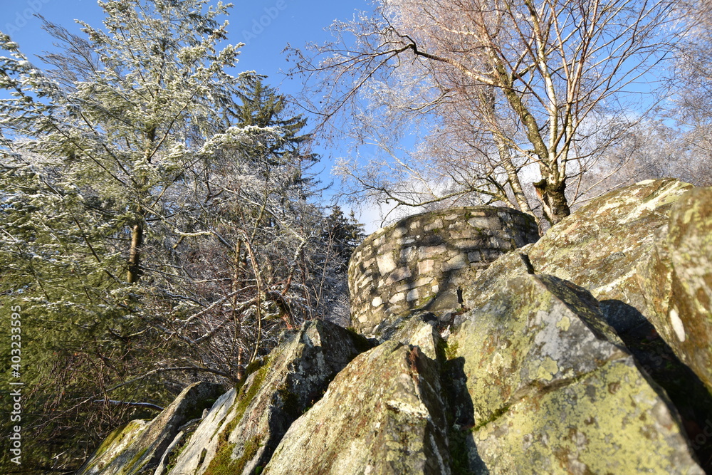 Mörschieder Burr im Nationalpark Hunsrück-Hochwald Mörschieder Burr im Nationalpark Hunsrück-Hochwald