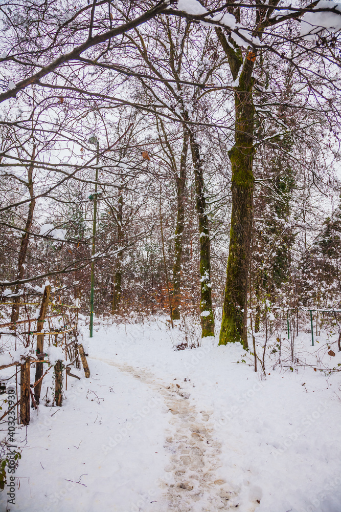 winter landscape with snow and a lake winter landscape with snow and a lake