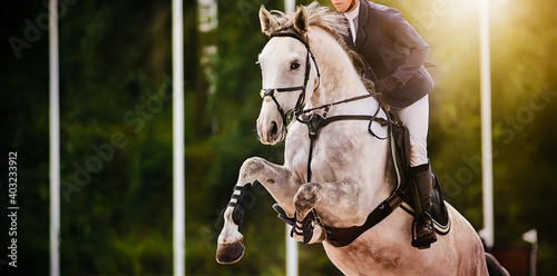 A dappled gray sports horse jumps with a rider in the saddle at a summer show jumping competition on a sunny day. Horse riding. Equestrian sports. photo