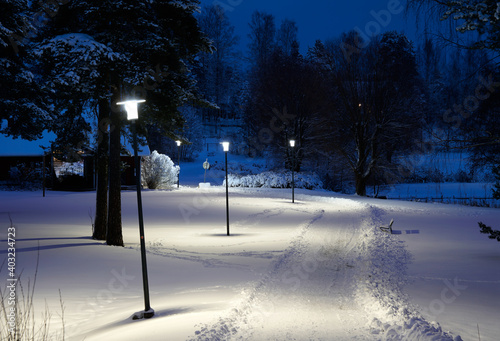 walkway in the brilliancy of lights in winter time