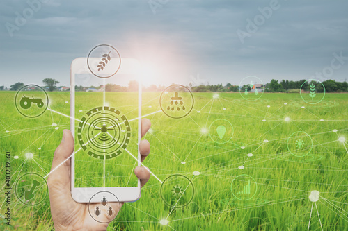 smart farmer holding smartphone,rice fields production control,concept agricultural product control technology,to agriculture future trading world market,track productivity,satellite for Agriculture photo