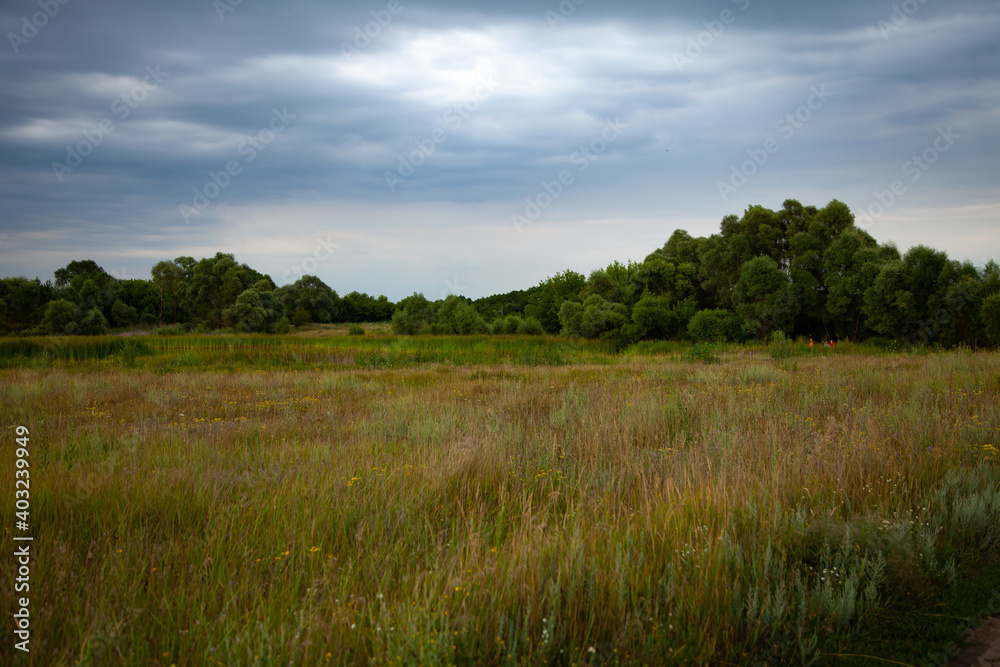 large horizontal photo. Nature. Ecology. Summer time. Environment. Scenery. Forest before the rain. Overcast. Wild nature. Field and trees under a gray rainy sky.
