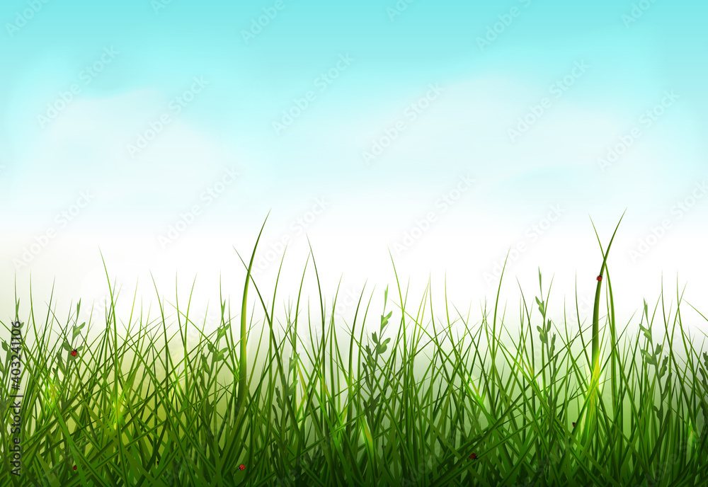 Green grass seamless border. Spring background with grass and
clouds in the blue sky. Nature Template for the spring, easter season, sale flyer.
Green grass seamless border. Spring background with grass and
clouds in the blue sky. Nature Template for the spring, easter season, sale flyer.