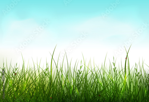 Green grass seamless border.  Spring background with grass and  clouds in the blue sky. Nature Template for the spring  easter season  sale flyer. 