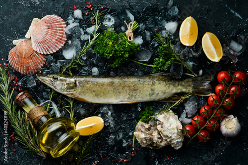 Raw pike fish on ice. On a dark background. Top view. Flat lay. photo