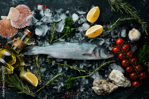 Raw sea bass fish on ice. On a dark background. Top view. Flat lay.