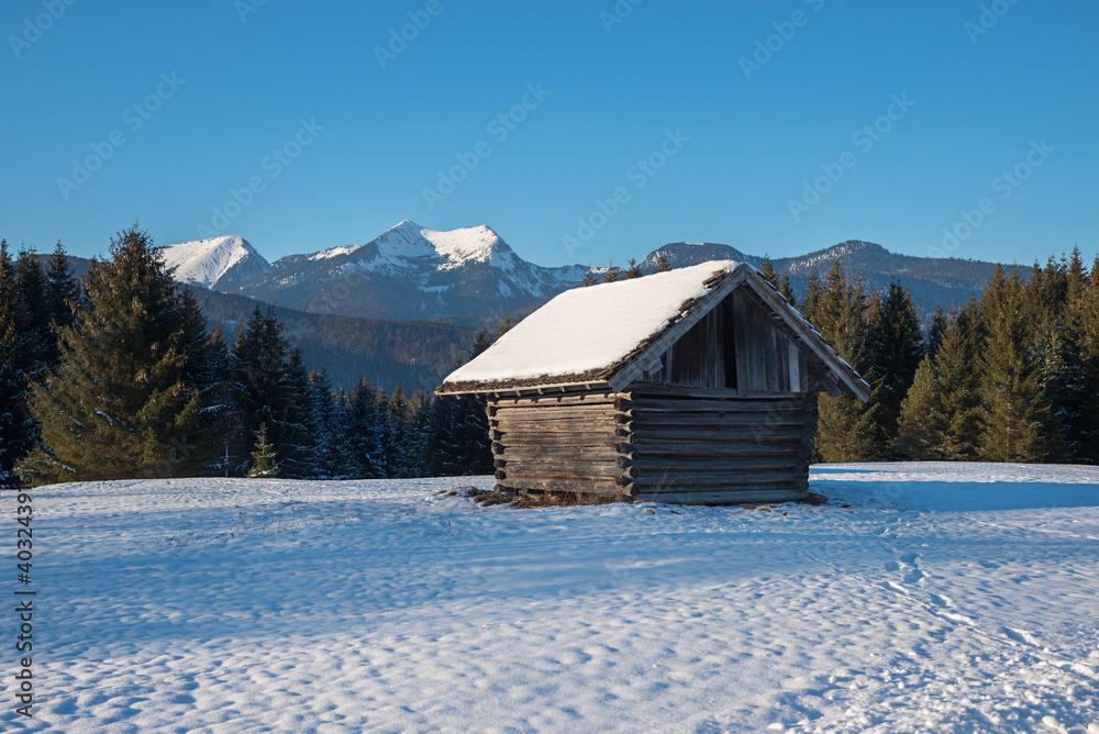 snow covered meadow Buckelwiesen with wooden hut and view to Herzogstand mountain. blue sky with space