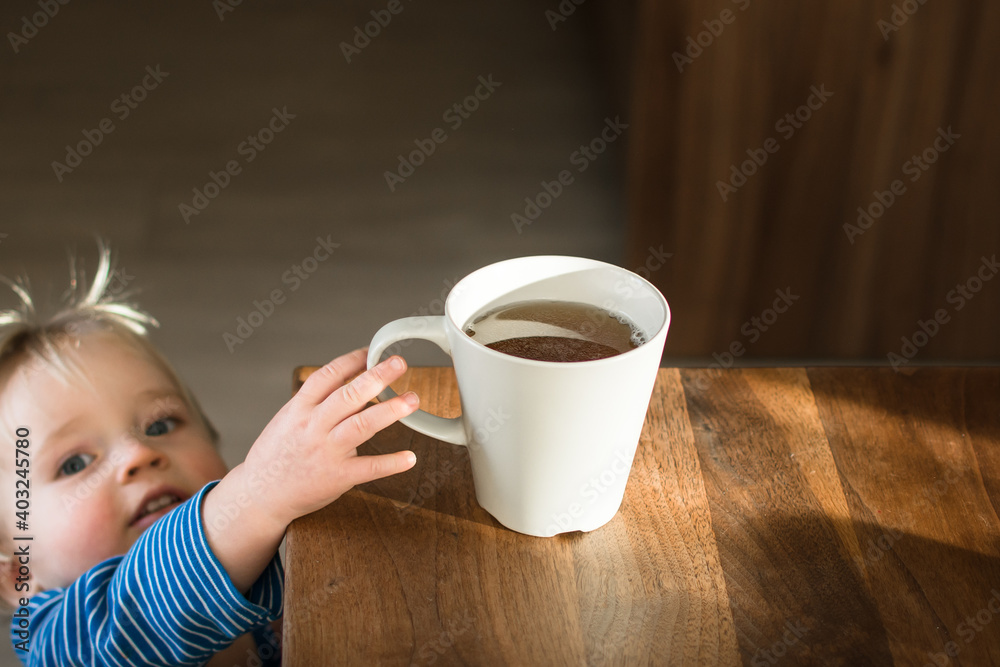 Little child try to grab mug of hot drink on the table. Attention hot content concept. Little child try to grab mug of hot drink on the table. Attention hot content concept.