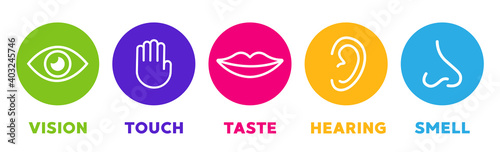 Five senses vector icons set. vision, hearing, touch, taste, smell