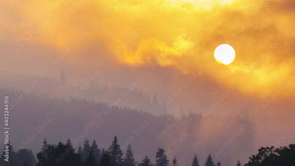 Sun disk setting in the foggy weather up in mountains with the pine trees
Sun disk setting in the foggy weather up in mountains with the pine trees