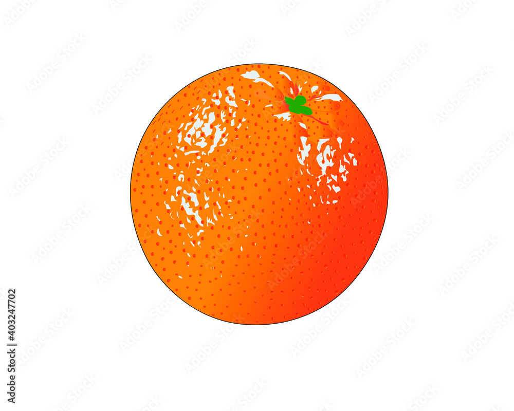 Orange fruit in white background vector illustration. Orange fruit in white background vector illustration.