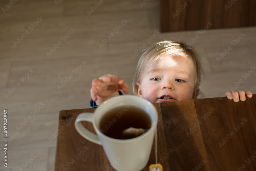 Little child try to grab cup of hot tea on the table. Attention hot content concept. Little child try to grab cup of hot tea on the table. Attention hot content concept.
