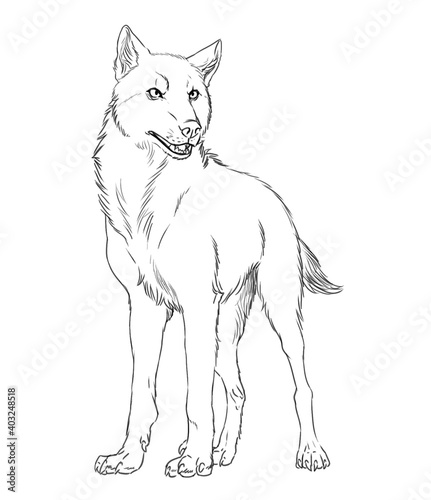 Black and white digital illustration of a standing dire wolf (Canis dirus) photo