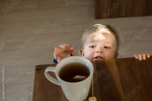 Wallpaper Mural Little child try to grab cup of hot tea on the table. Attention hot content concept. Torontodigital.ca
