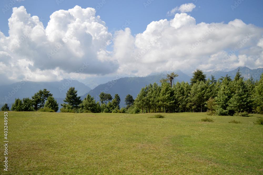 landscape with sky and trees