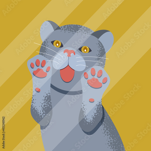 Сute british cat behind glass. vector illustration.